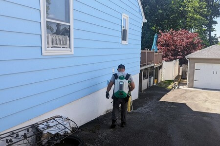 Seasonal Pest Guide for Hoboken Homes: What to Expect Each Season