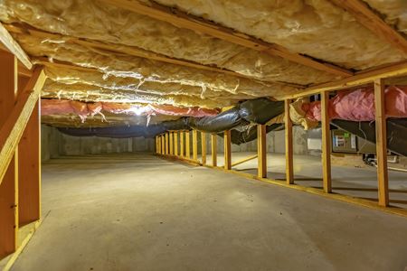 Crawl Space Services