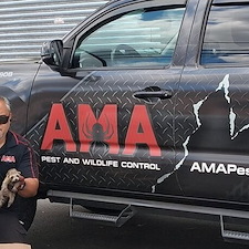 Humane-Raccoon-Removal-Attic-Restoration-in-Bergen-County-NJ-by-AMA-Pest-Wildlife-Control 0