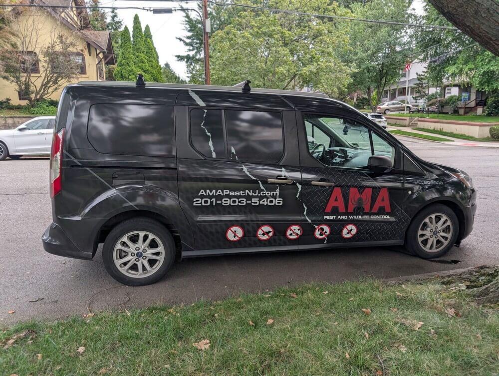 Professional Beehive and Wasp Nest Removal in Franklin Lakes, NJ